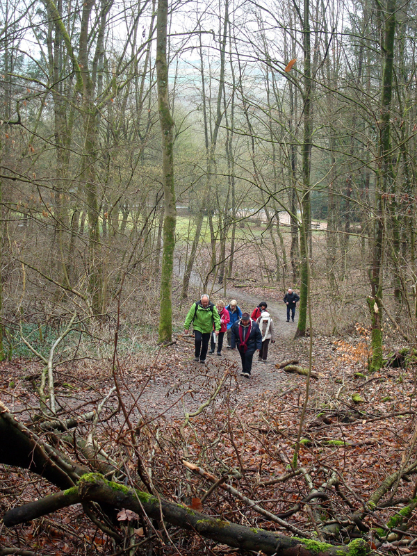 Wandern%20nach%20Balduinstein%2017.2.13%20001_2304x3072 Wandern%20nach%20Balduinstein%2017.2.13%20001_2304x3072